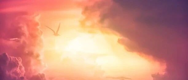 受苦是人生的常态