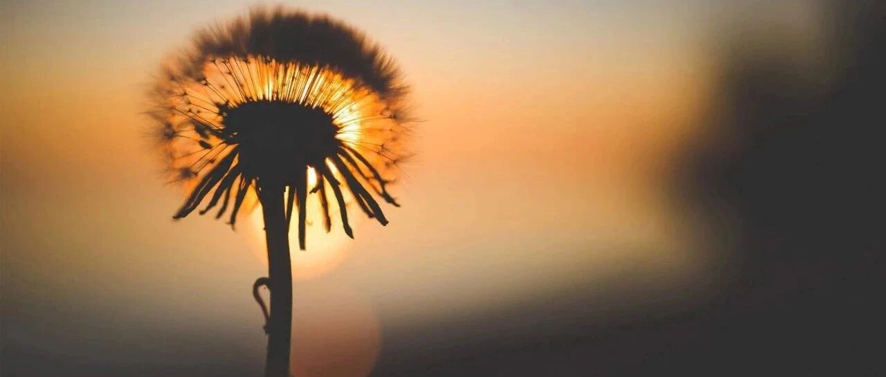 幸福是可以自己给自己的