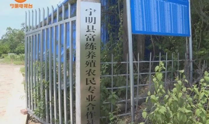 致富养牛牛人_致富经养牛_致富养牛蛙