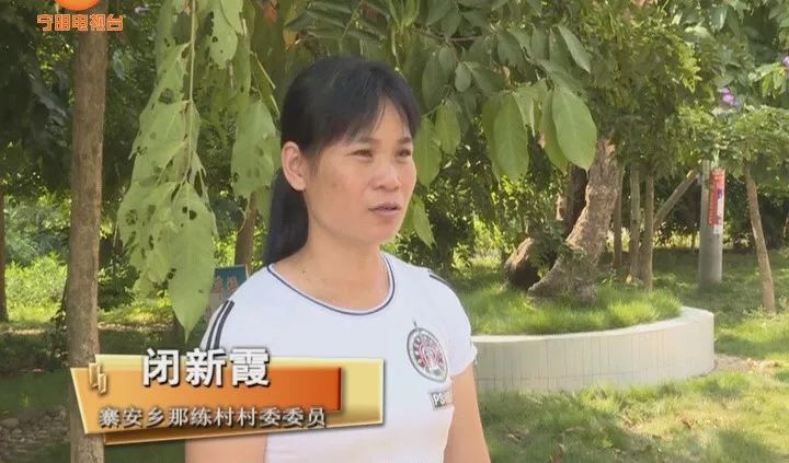 致富经养牛_致富养牛牛人_致富养牛蛙