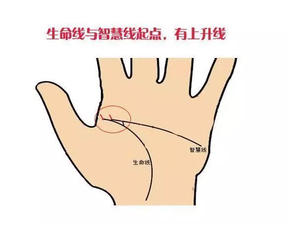 发大财的 巨富手相 奇准无比 星智互联 微信公众号文章阅读 Wemp