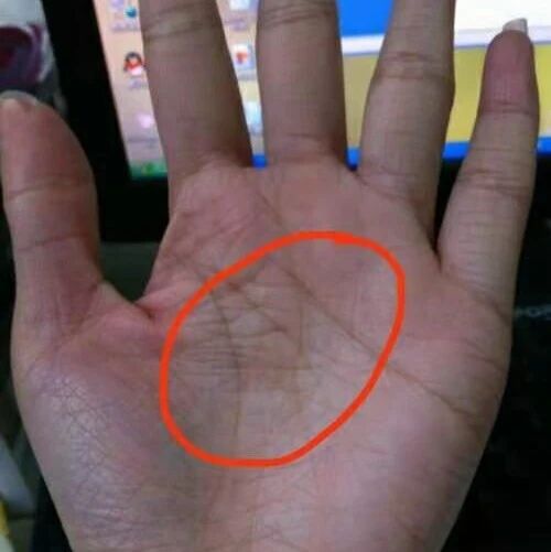 金塔在手 衣食无忧 的发大财 极品 手相 星智互联 微信公众号文章 微小领