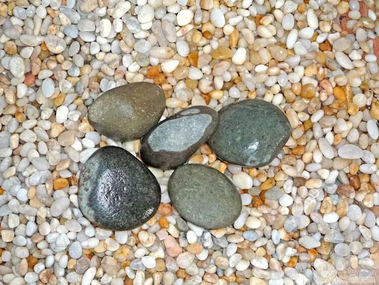 旺运：介绍11种高效有趣的新年旺运法，祝大家吉祥一整年