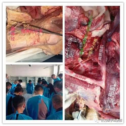 IMG_4168.JPG..jpg 图片