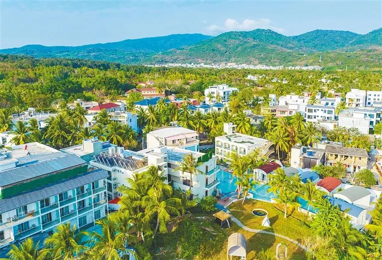 三亚博后村因地制宜发展产业奋力书写乡村振兴新答卷