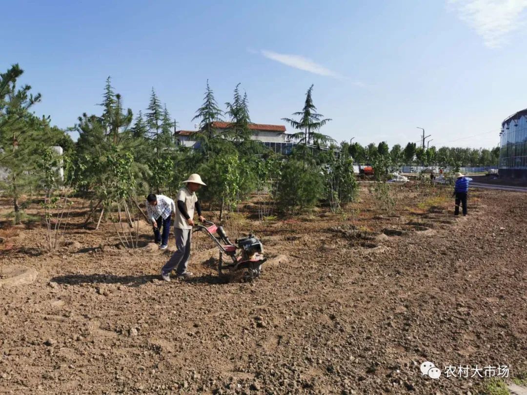 农林卫视致富信息_陕西农林卫视致富经_陕西农村广播致富大赢家回放