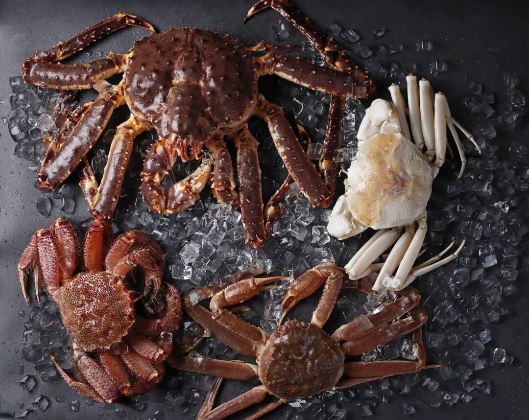 ħ�����²����̵㣬��8�ұ���ӵ��������