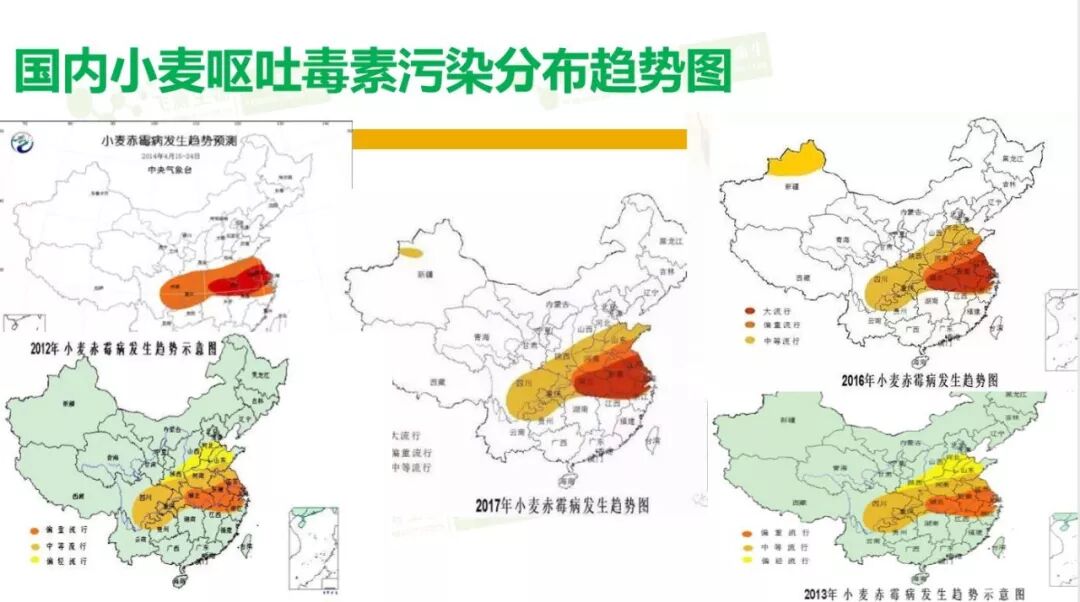 上海飞测生物联合"粉师之家"举办有关小麦面粉中呕吐毒素讲座的完整