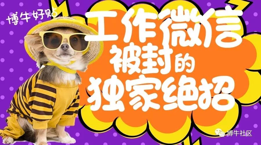 微信防止被封_微信号防封号_微信号防封