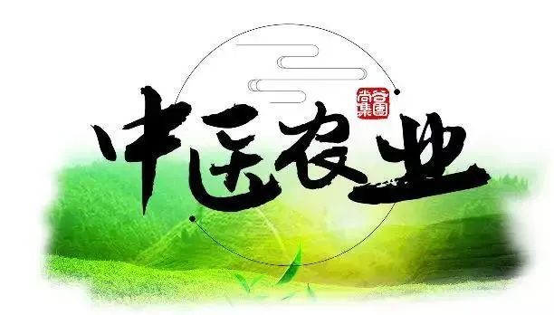 山东尚谷农业集团有限公司