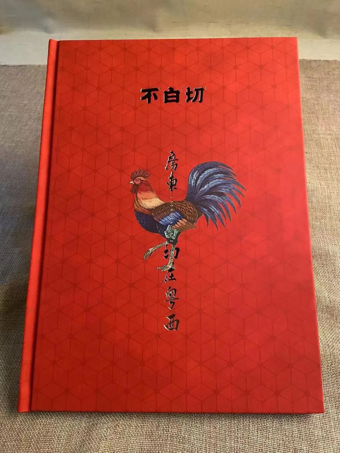 企業(yè)畫冊印刷定制_廣州企業(yè)畫冊印刷_新型企業(yè)畫冊書刊樣本印刷