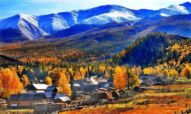 【江苏地毯价格联盟】塞外风光无限好!吃货必备