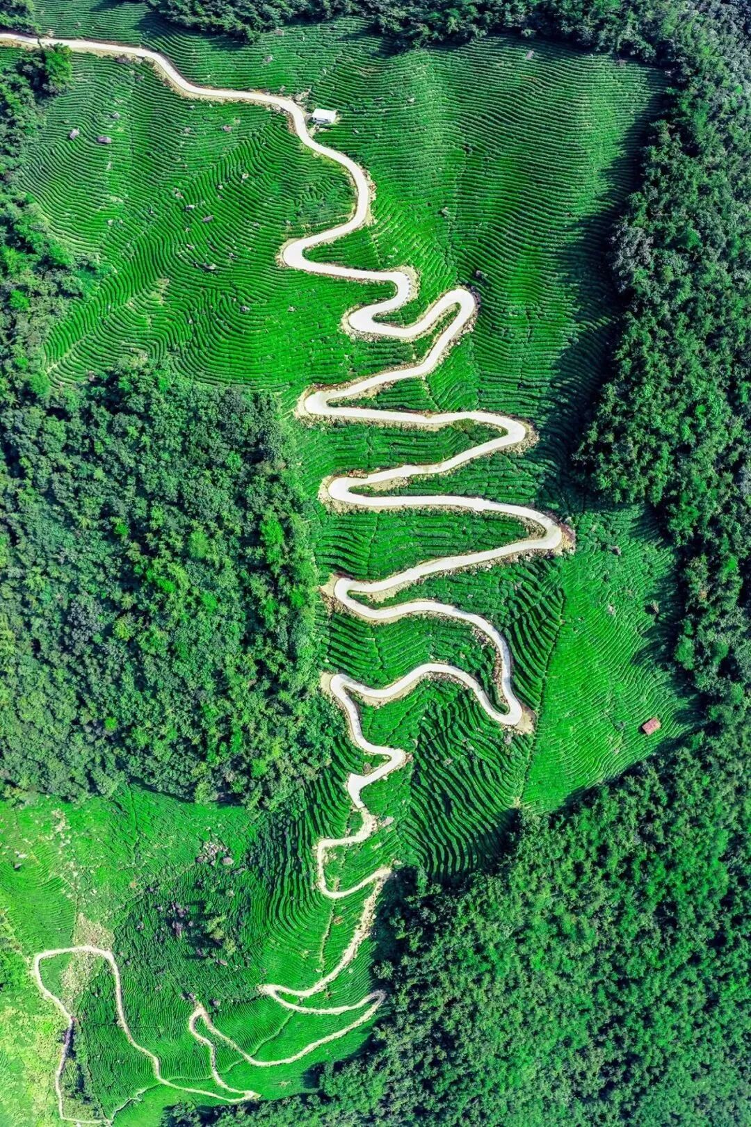 生态环境部建立"秦岭机制"——走向"经略秦岭"的发展新时期