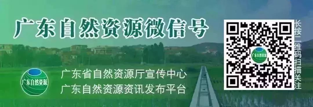 新土地管理法意味着什么