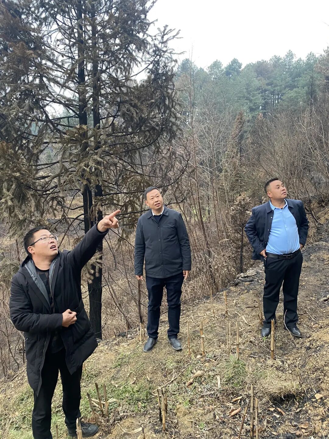 何旭到赫章县检查森林防火工作