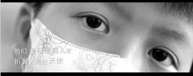 甲醛中國銷量世界蕞高！中國娃怎能不得白血病？|新聞動態(tài)-武漢小小葉子環(huán)保科技有限公司