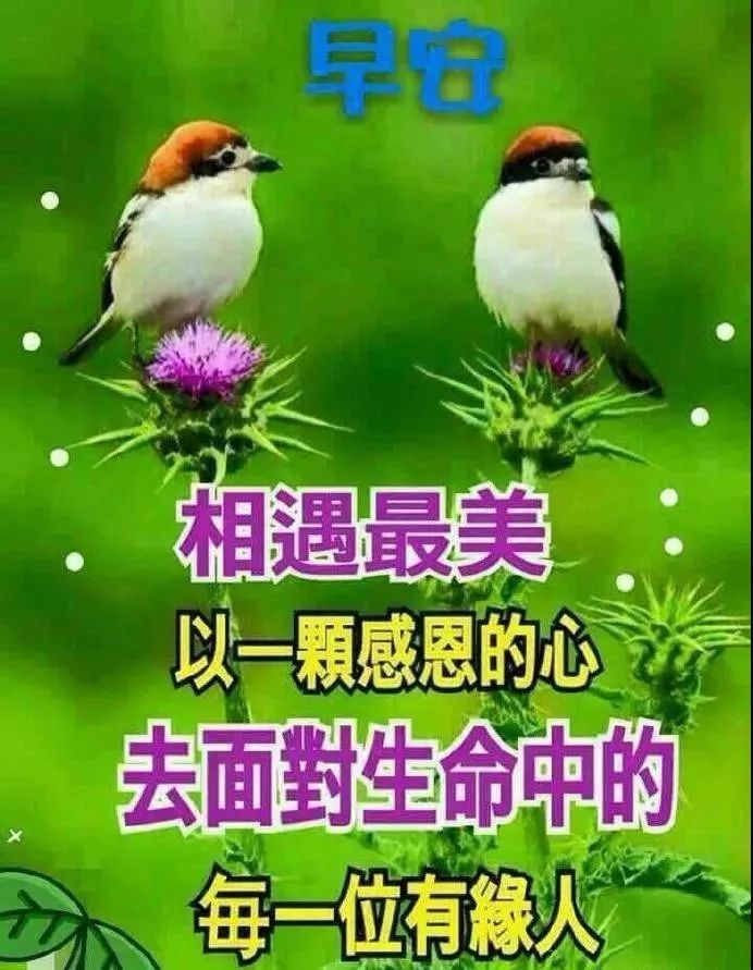 6月6日周三群发早上好祝福句子 早上好祝福图片动态 早上好问候语祝福表情 微信公众号文章阅读 Wemp