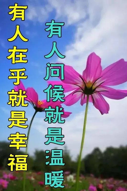 8張有創意的夏日清晨早上好動畫表情鮮花圖片帶祝福語 免打字聊天的