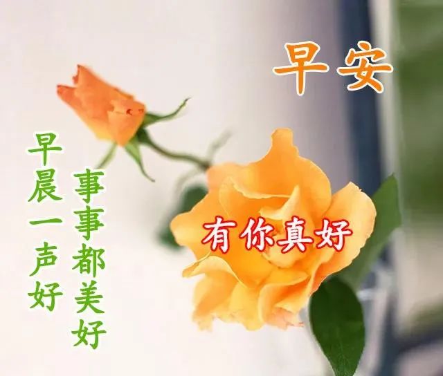 21年6月12日星期六早上好问候祝福动态表情图片周六最新早安问候语动态图片表情 早安心情 微信公众号文章 微小领