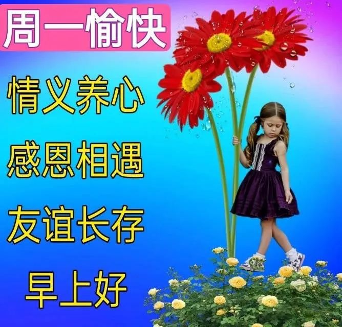 身体健康才是最重要的; 无论工作还是假期,快乐第一,把星期一当成6月1