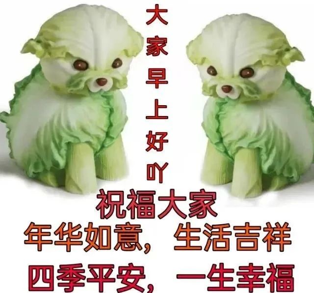 2021年6月15日星期二漂亮早上好问候动态表情图片带字周二最美早安
