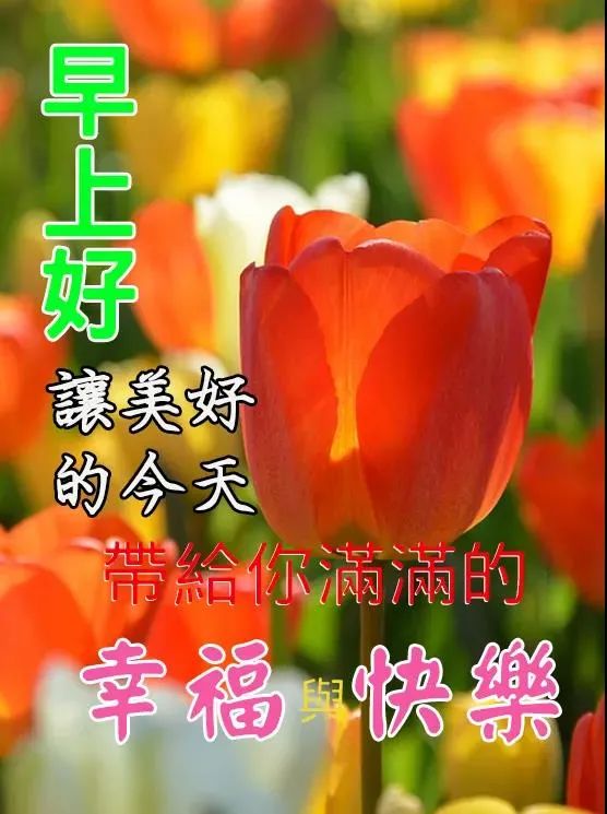 2021年新款祝福语早安人物图片周三问候朋友的早安暖心祝福语