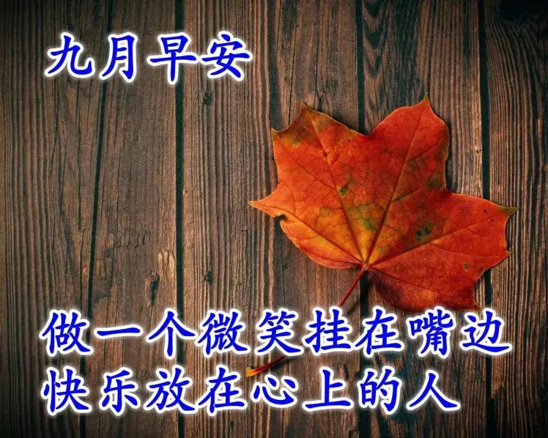 9月1日周二最新早上好特漂亮动态祝福图片带字 9月暖心的早安问候语动态表情图片 早安祝福语图片 微信公众号文章阅读