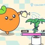 城家公寓  | 嗨，浇个朋友吧！