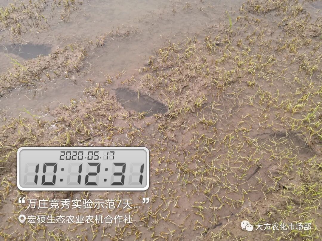 稻田除稗，用好才算“秀” --“万庄竞秀”应用案例剖析