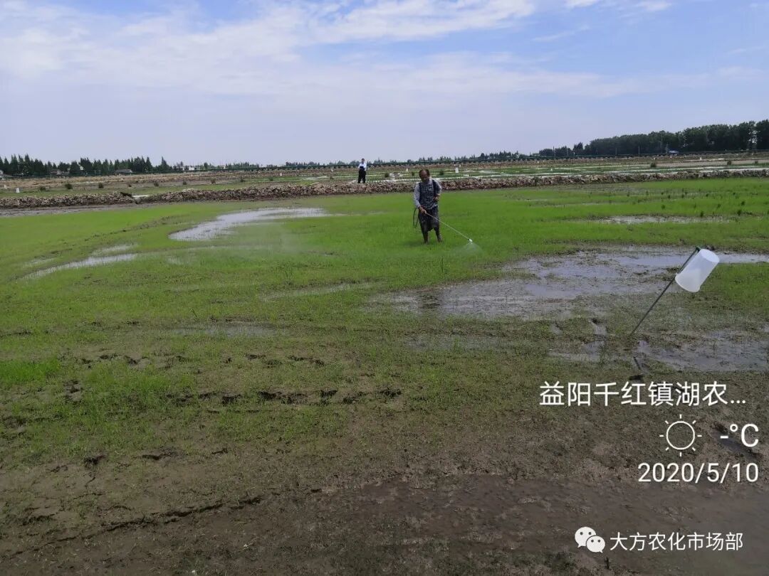 稻田除稗，用好才算“秀” --“万庄竞秀”应用案例剖析