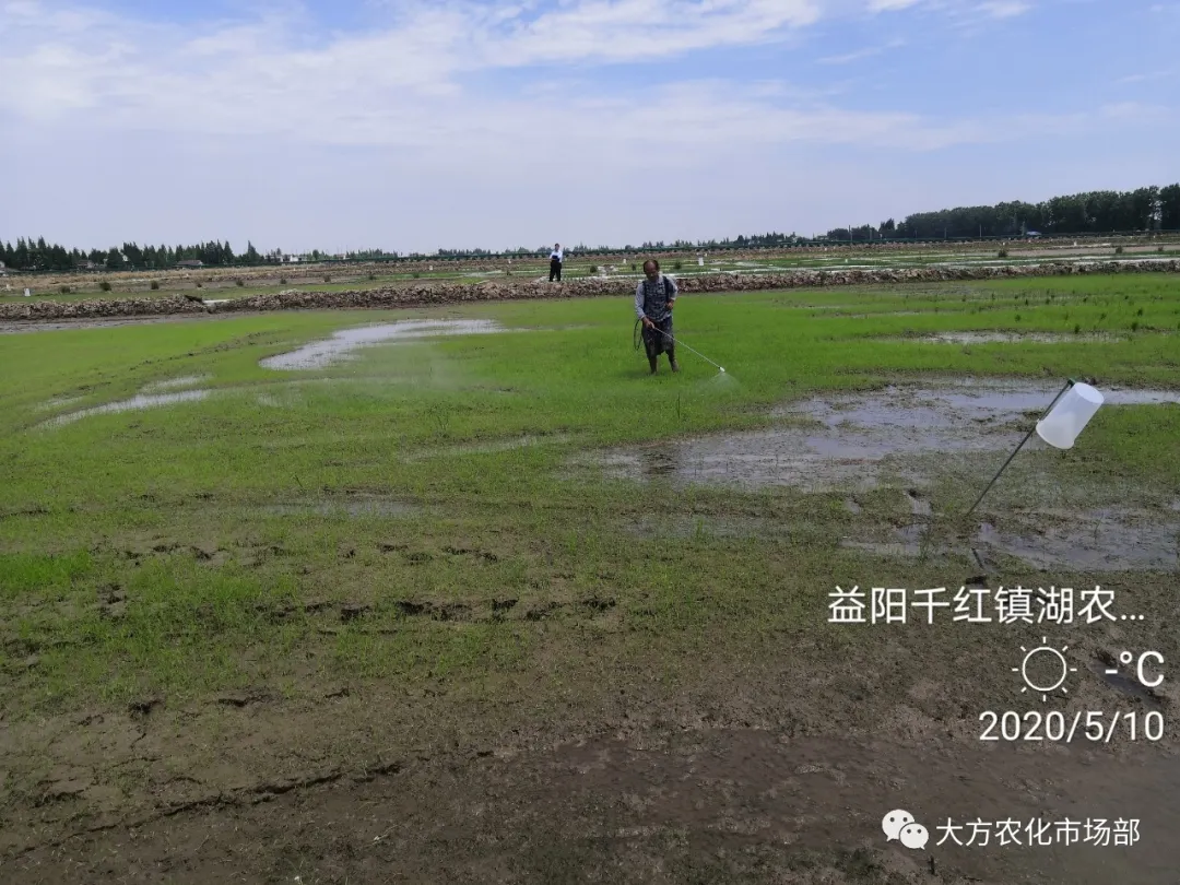 稻田除稗,用好才算“秀” --“万庄竞秀”应用案例剖析 稻田除稗,用好才算“秀” --“万庄竞秀”应用案例剖析