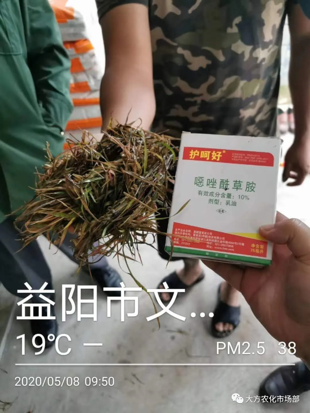 护呵好,领略“稻青草枯”的震撼! 护呵好,领略“稻青草枯”的震撼!