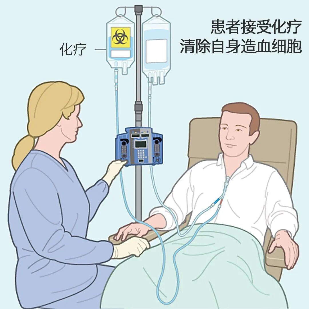 医生为什么叫买营养袋造血干细胞移植患者为啥要输“大白袋”？_https://www.jmylbn.com_新闻资讯_第4张