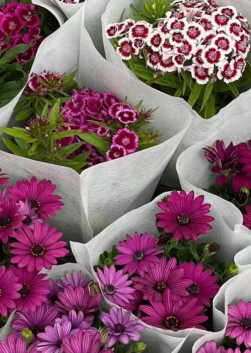 西安哪里卖床的多西安超全超省钱的29个批发市场，囤货必去！_https://www.jmylbn.com_新闻资讯_第37张