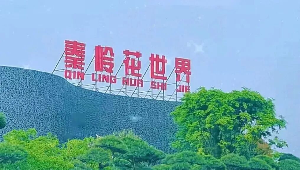 西安哪里卖床的多西安超全超省钱的29个批发市场，囤货必去！_https://www.jmylbn.com_新闻资讯_第36张