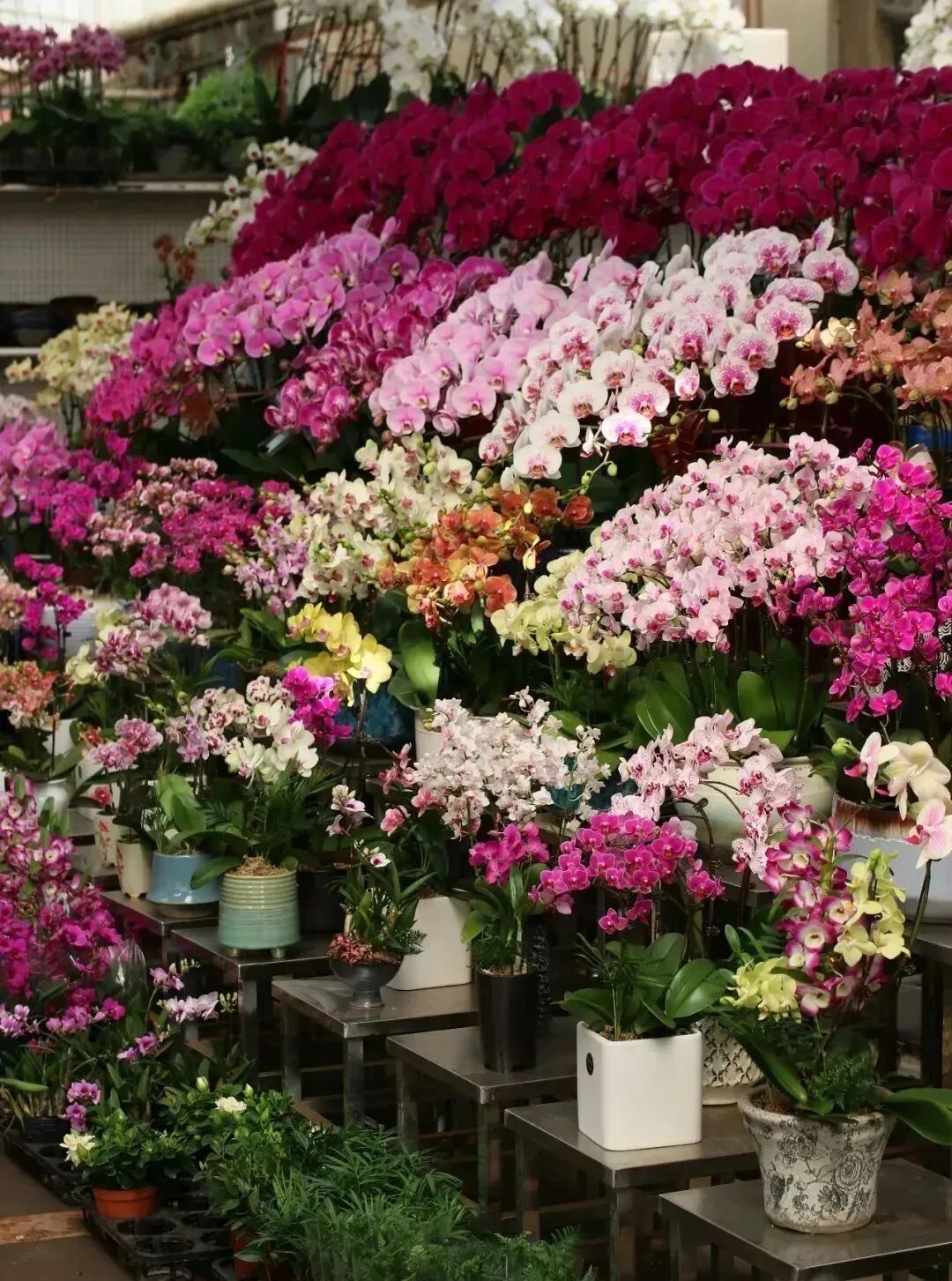 西安哪里卖床的多西安超全超省钱的29个批发市场，囤货必去！_https://www.jmylbn.com_新闻资讯_第41张