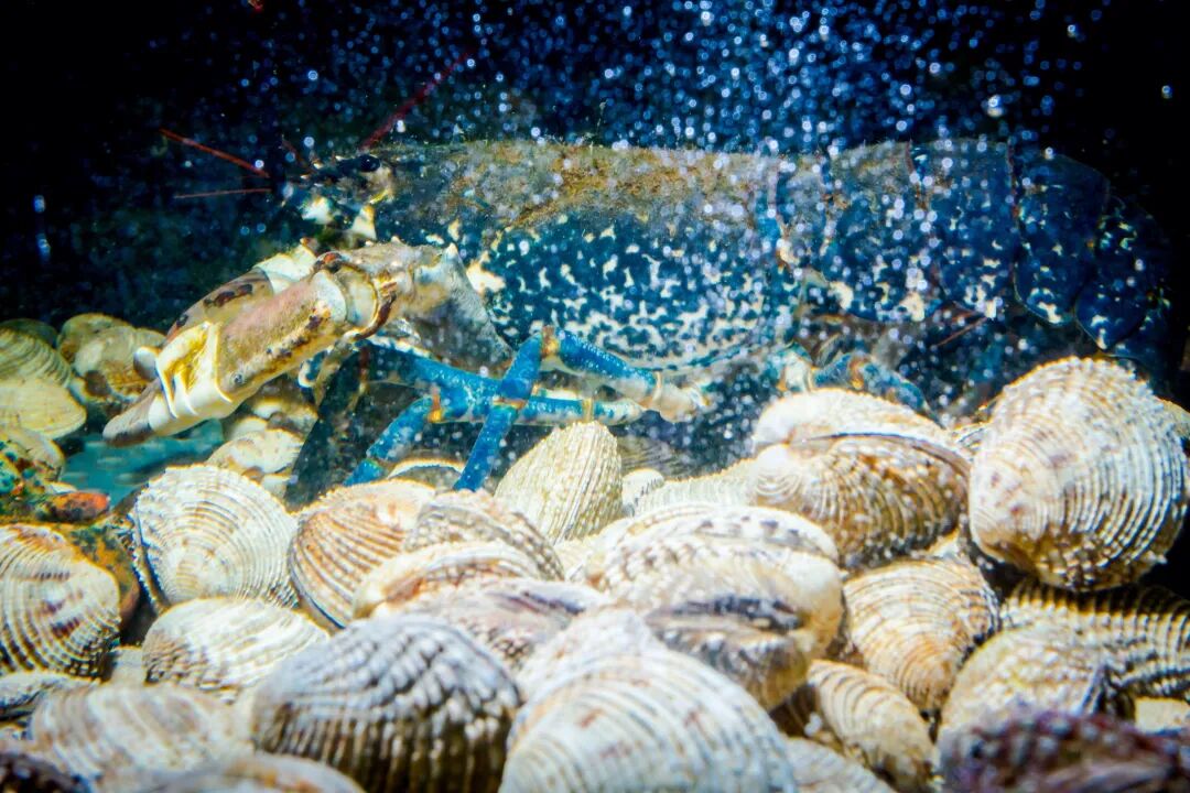 西安哪里卖床的多西安超全超省钱的29个批发市场，囤货必去！_https://www.jmylbn.com_新闻资讯_第44张