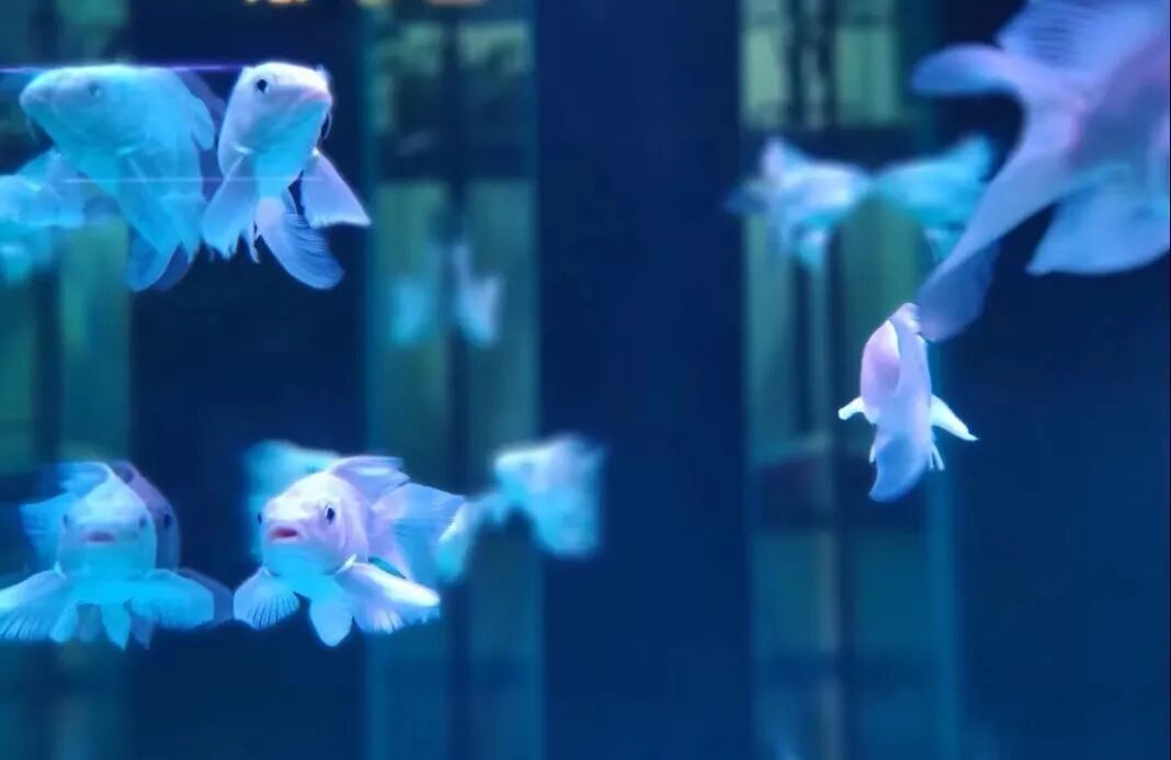 西安哪里卖床的多西安超全超省钱的29个批发市场，囤货必去！_https://www.jmylbn.com_新闻资讯_第46张