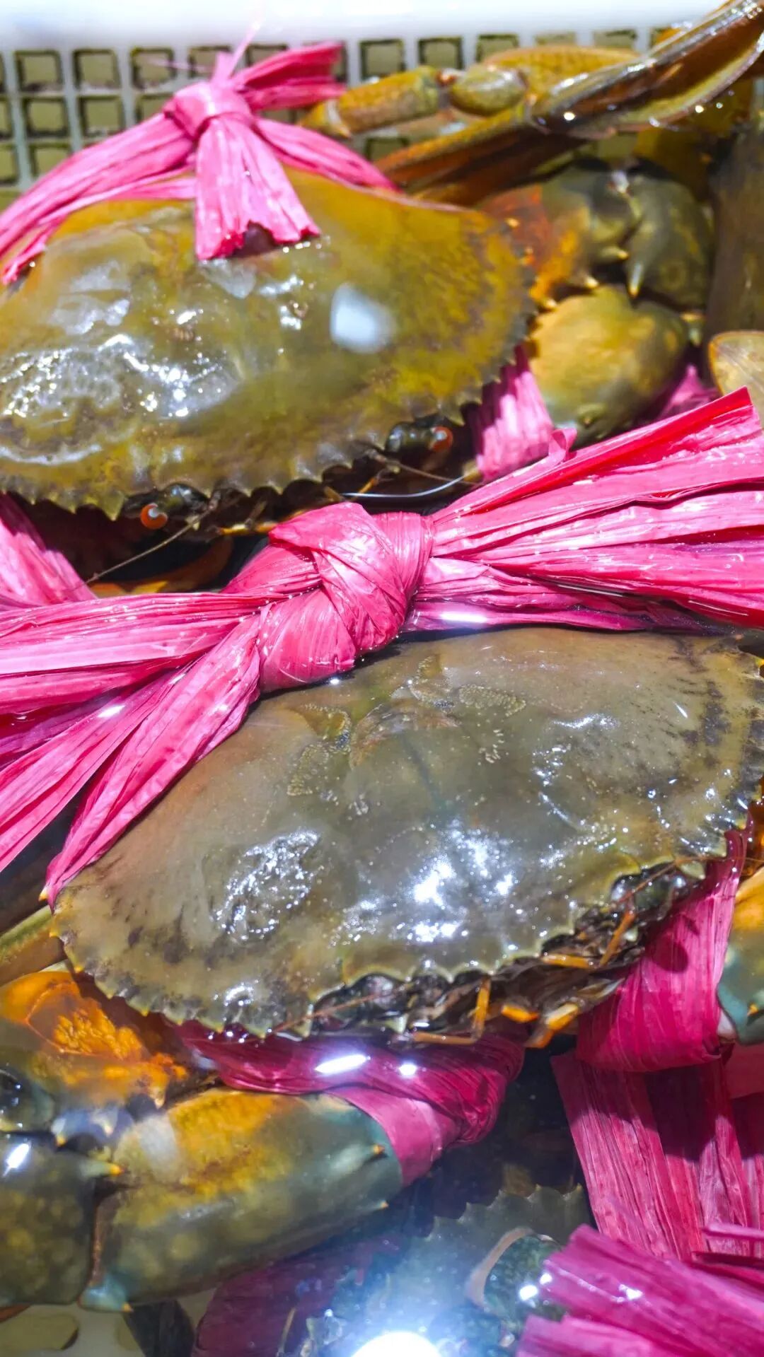 西安哪里卖床的多西安超全超省钱的29个批发市场，囤货必去！_https://www.jmylbn.com_新闻资讯_第32张