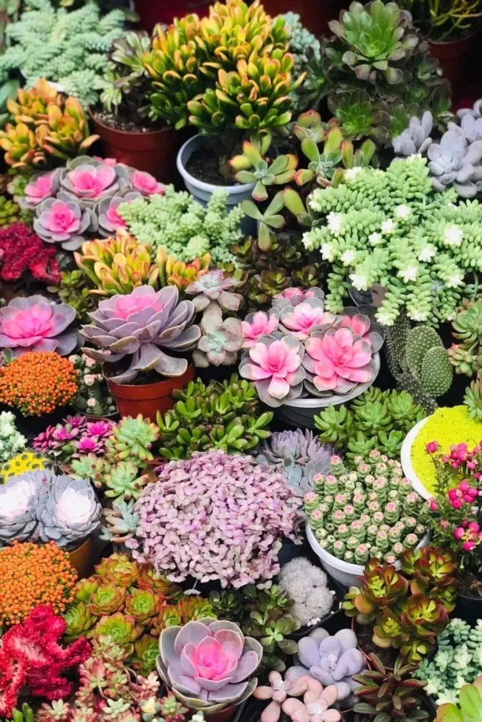 西安哪里卖床的多西安超全超省钱的29个批发市场，囤货必去！_https://www.jmylbn.com_新闻资讯_第4张