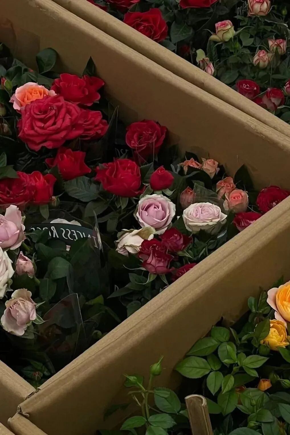 西安哪里卖床的多西安超全超省钱的29个批发市场，囤货必去！_https://www.jmylbn.com_新闻资讯_第6张