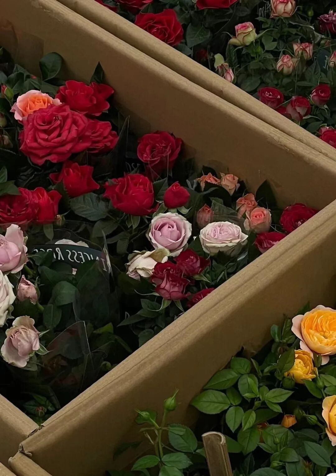 西安哪里卖床的多西安超全超省钱的29个批发市场，囤货必去！_https://www.jmylbn.com_新闻资讯_第38张