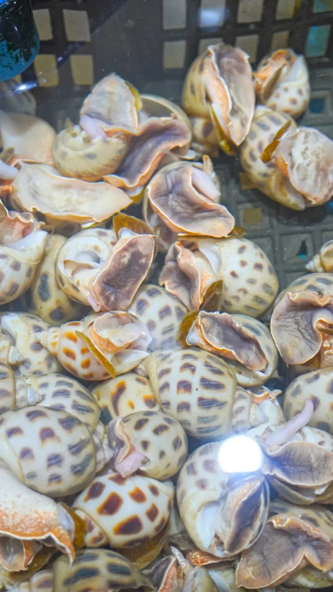 西安哪里卖床的多西安超全超省钱的29个批发市场，囤货必去！_https://www.jmylbn.com_新闻资讯_第33张