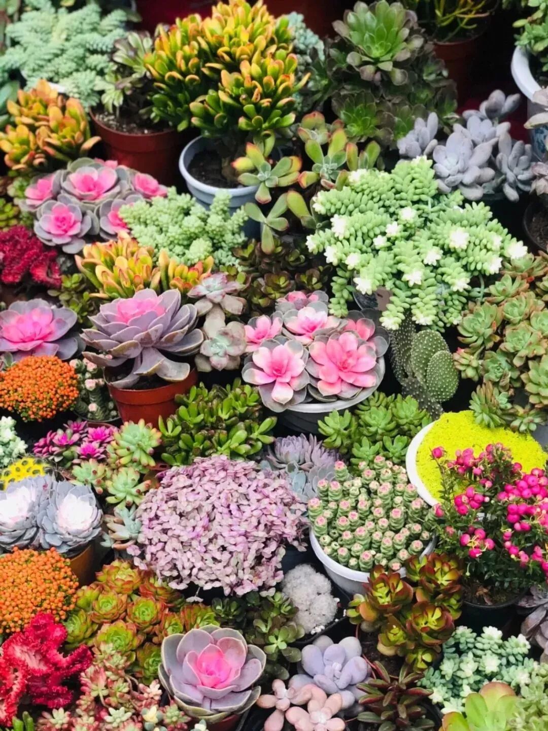 西安哪里卖床的多西安超全超省钱的29个批发市场，囤货必去！_https://www.jmylbn.com_新闻资讯_第40张