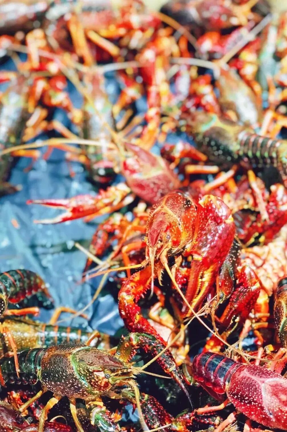 西安哪里卖床的多西安超全超省钱的29个批发市场，囤货必去！_https://www.jmylbn.com_新闻资讯_第2张