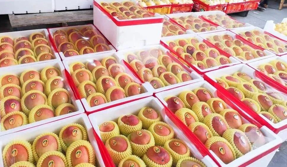 西安哪里卖床的多西安超全超省钱的29个批发市场，囤货必去！_https://www.jmylbn.com_新闻资讯_第24张