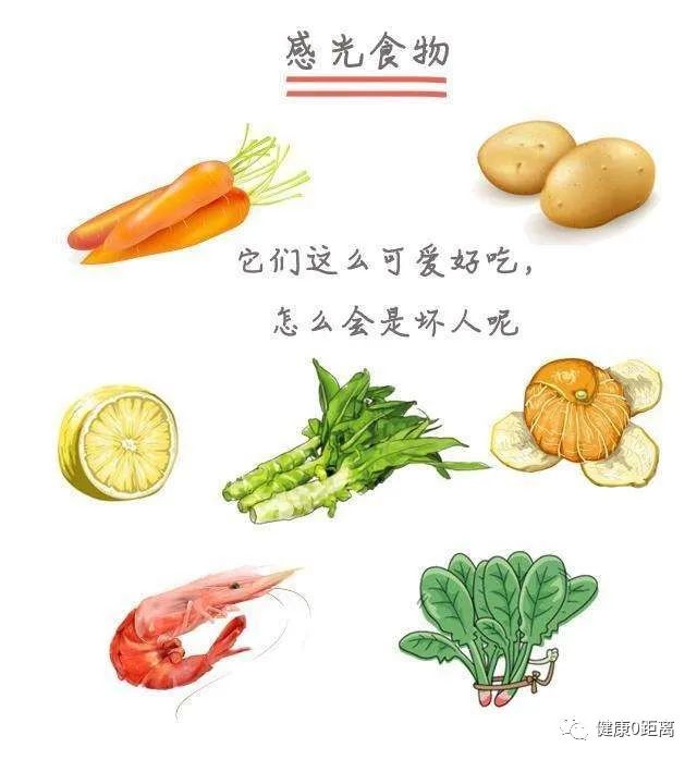 感光食物