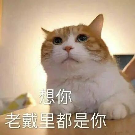 墨尔本留学生特有的20种迷惑行为，你中招了吗？（组图） - 6