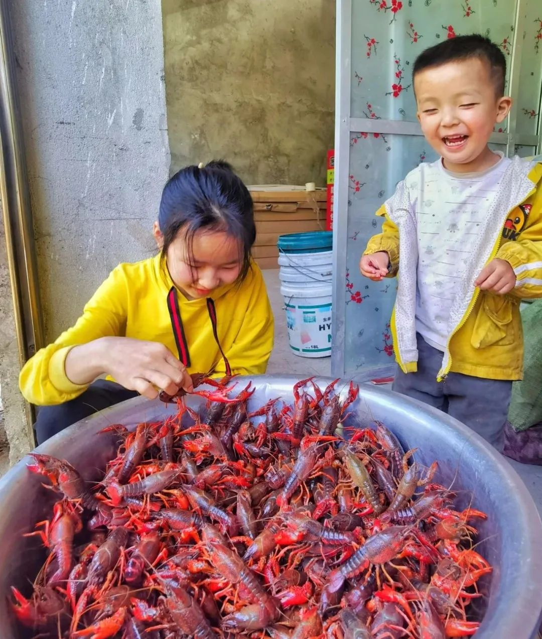 养甲鱼致富视频_致富经养甲鱼_养殖甲鱼富豪