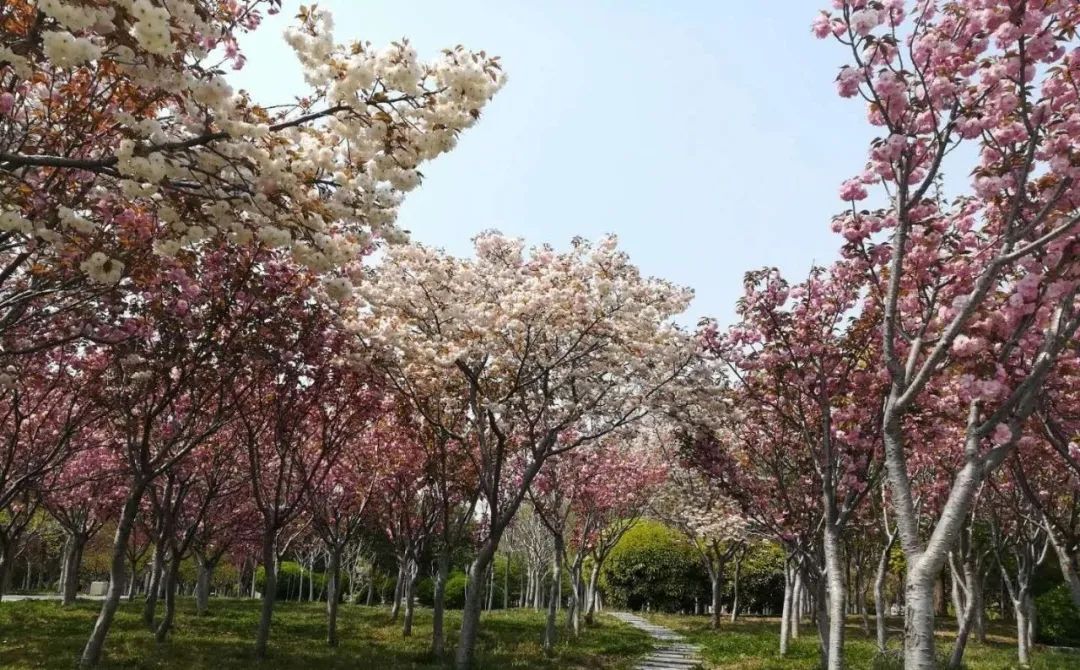 职业学校招生问答_影视动画培训招生问答_济南大学历年分数线